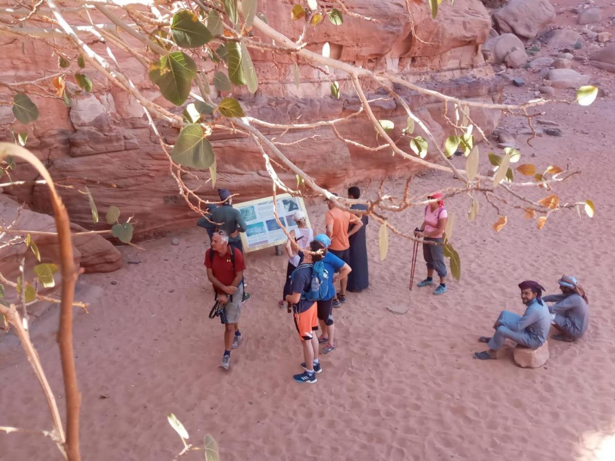 瓦迪拉姆 Bedouin Future Camp酒店 外观 照片