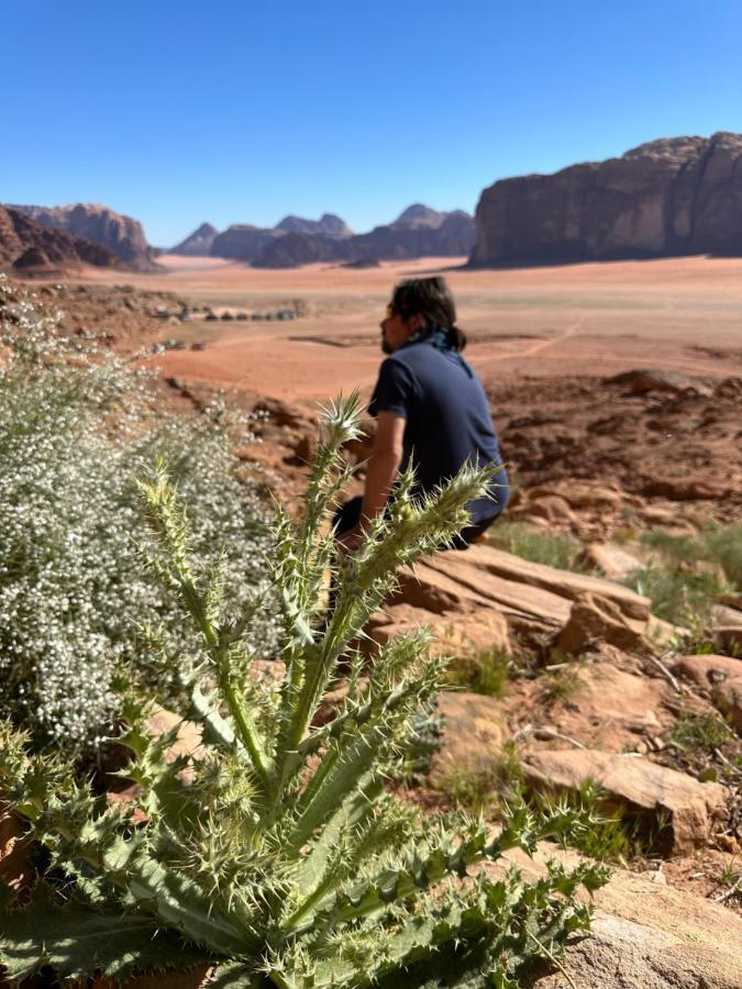 瓦迪拉姆 Bedouin Future Camp酒店 外观 照片