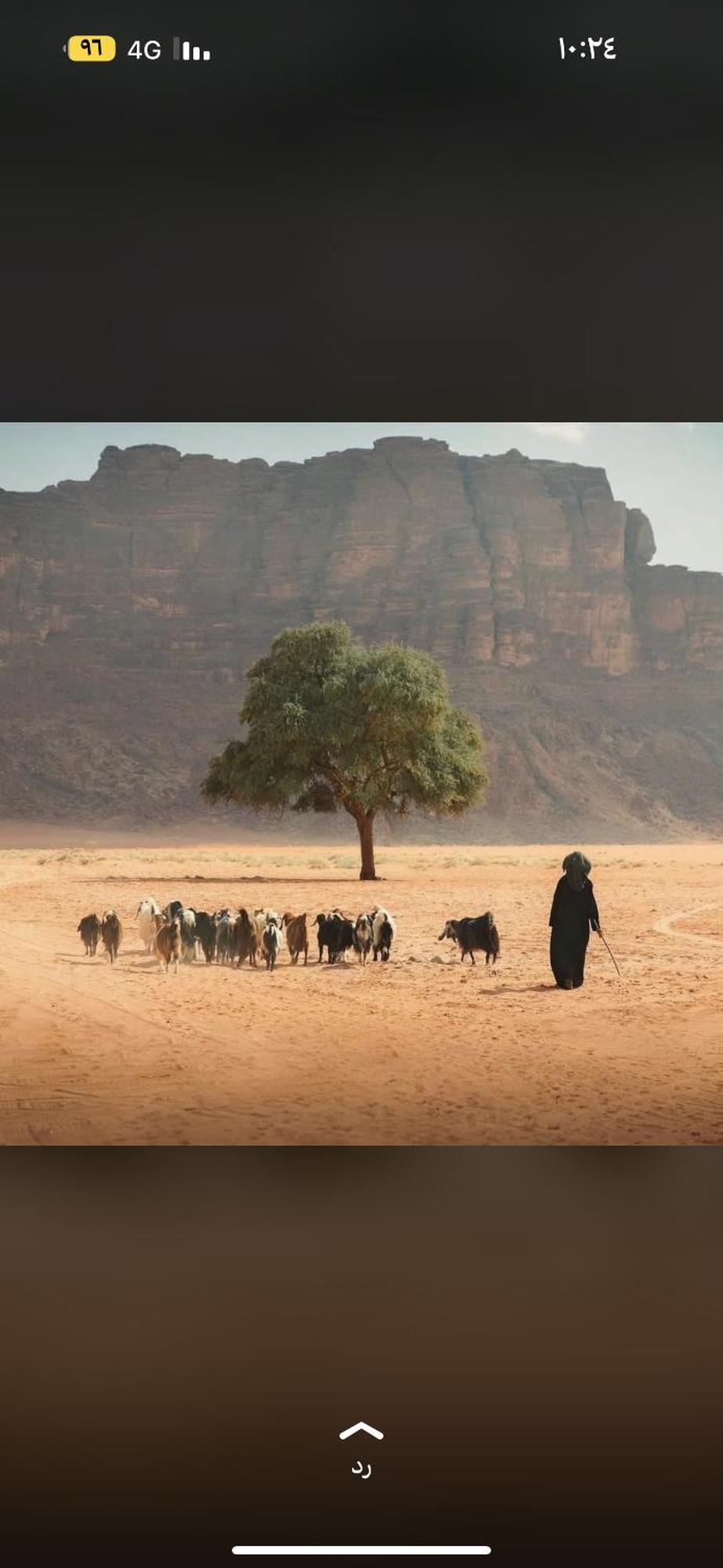 瓦迪拉姆 Bedouin Future Camp酒店 外观 照片