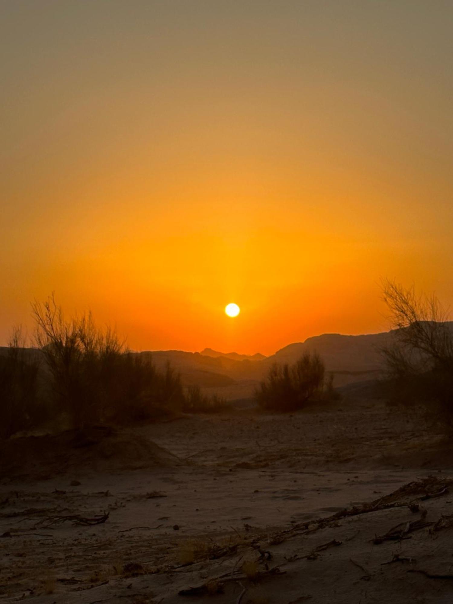 瓦迪拉姆 Bedouin Future Camp酒店 外观 照片