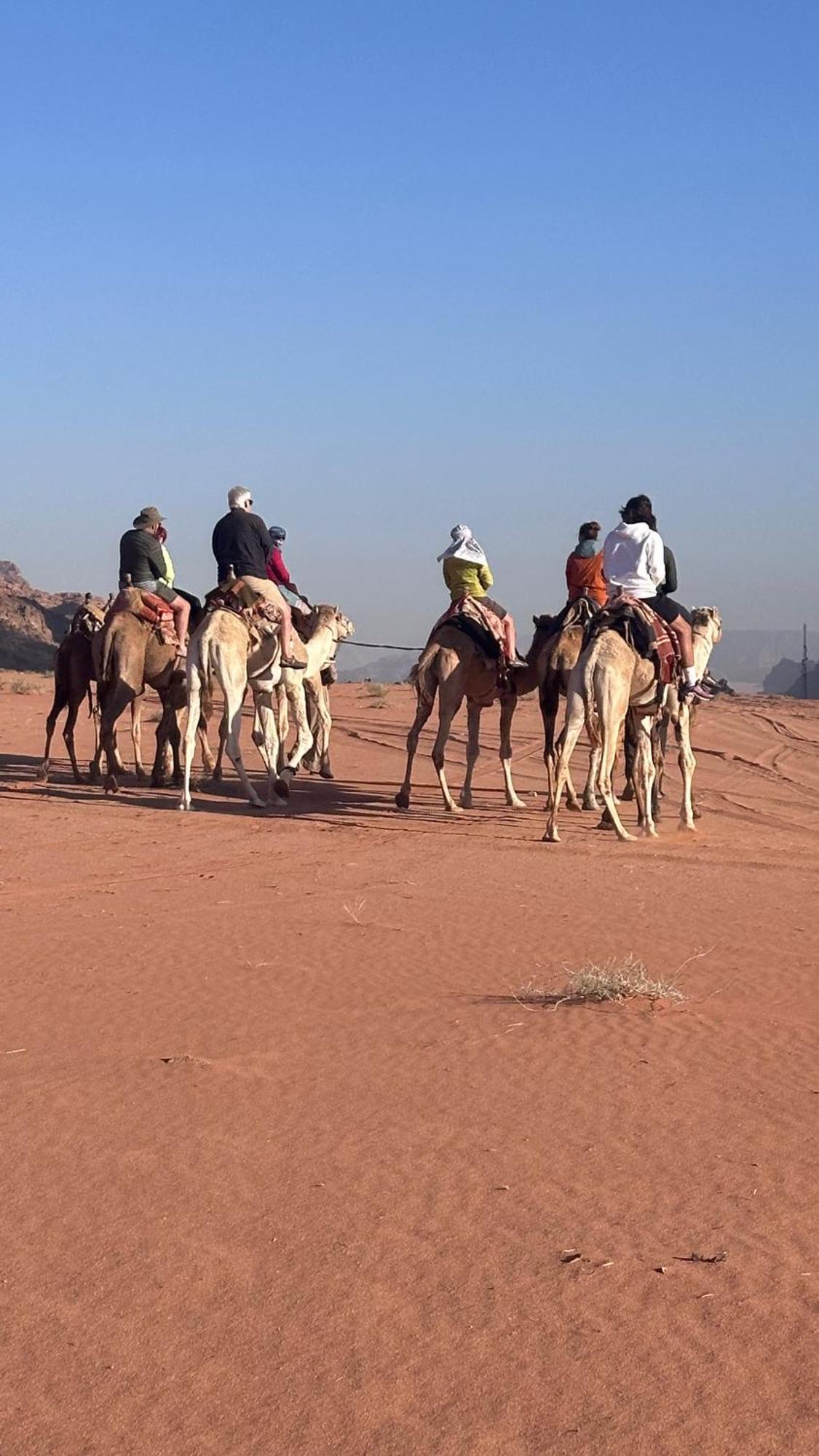瓦迪拉姆 Bedouin Future Camp酒店 外观 照片