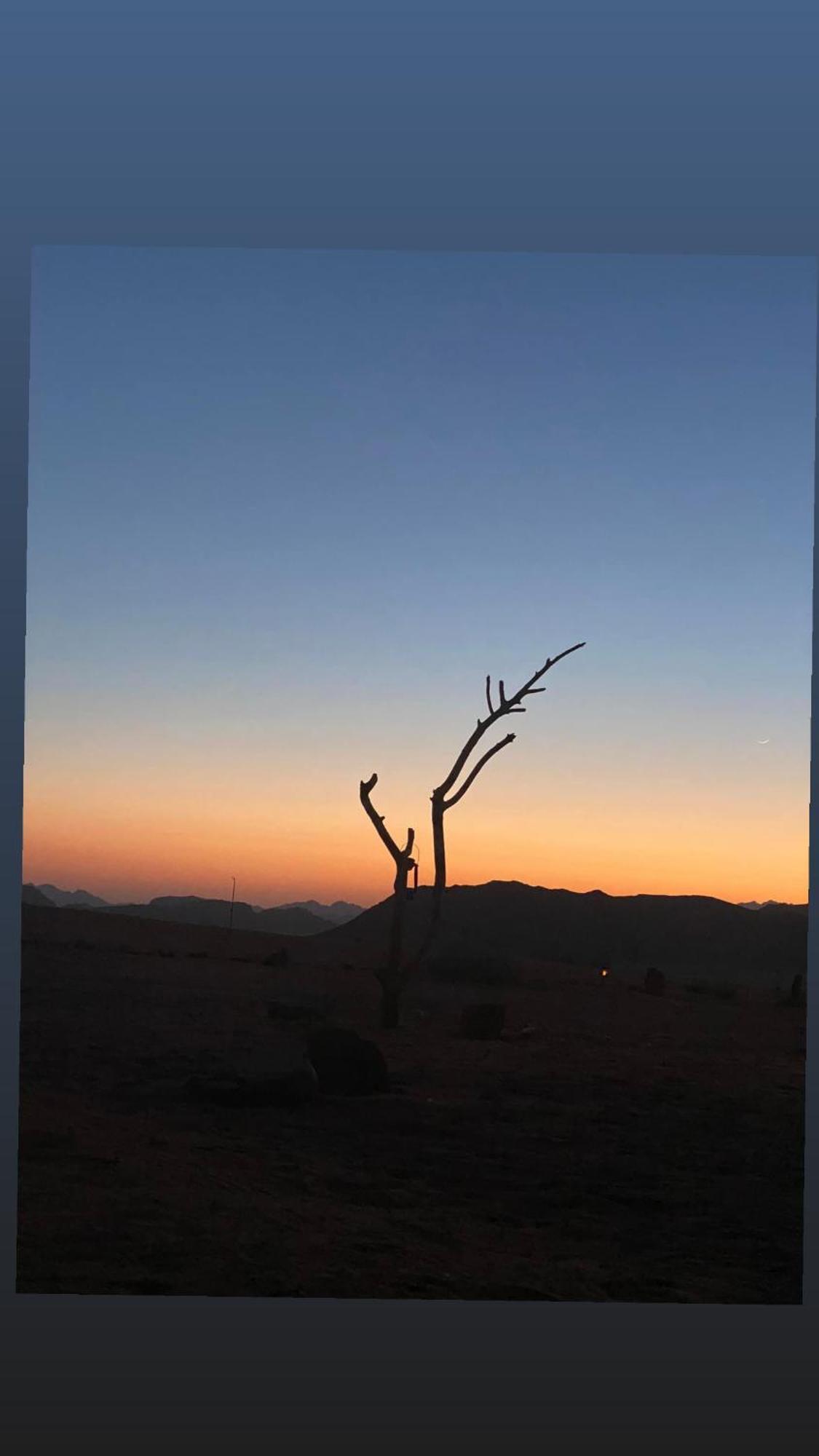 瓦迪拉姆 Bedouin Future Camp酒店 外观 照片